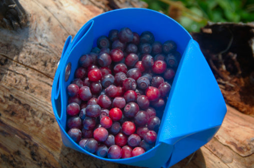 Berries, Huckleberries, Wild, 5# Unit (Seasonal)