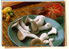 Mushroom, Cultivated, Trumpet Royale, Organic, 6# Unit