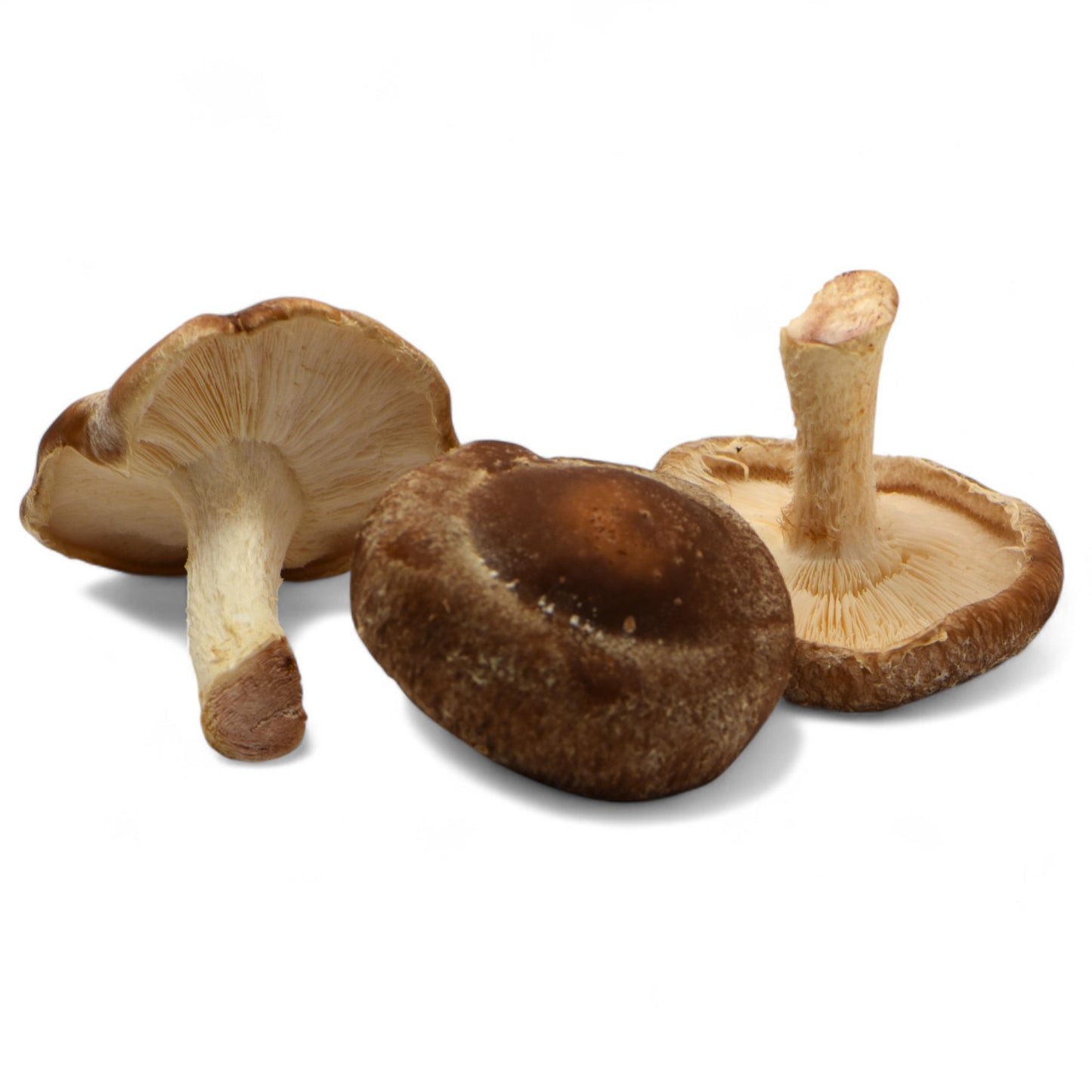 Mushroom Medium Shiitake - 5 Lb Unit