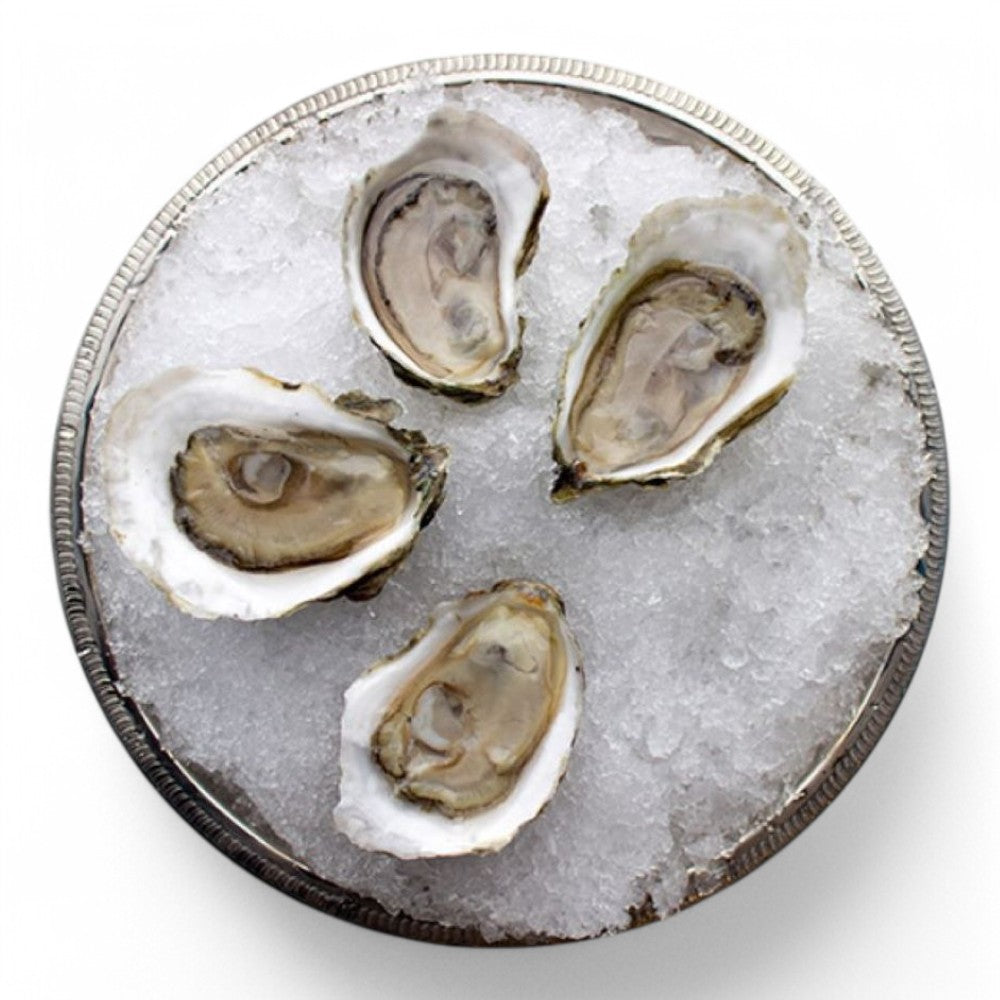 Oyster, Thatch Island, In Shell, Farmed, 100 Ct, Fresh, Ref