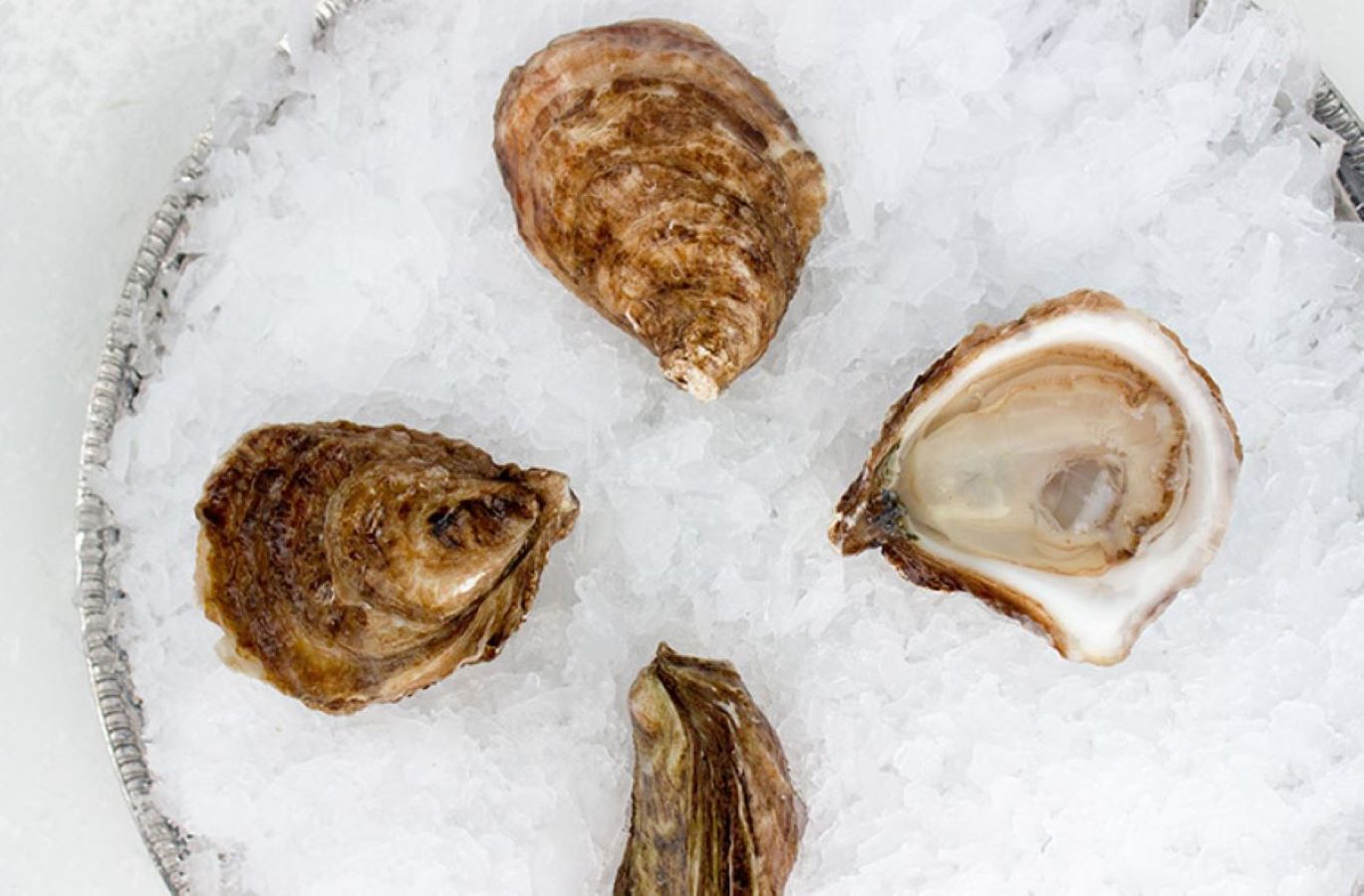 Oyster, Irish Point, In Shell, Farmed, 100 Ct, Fresh, Ref