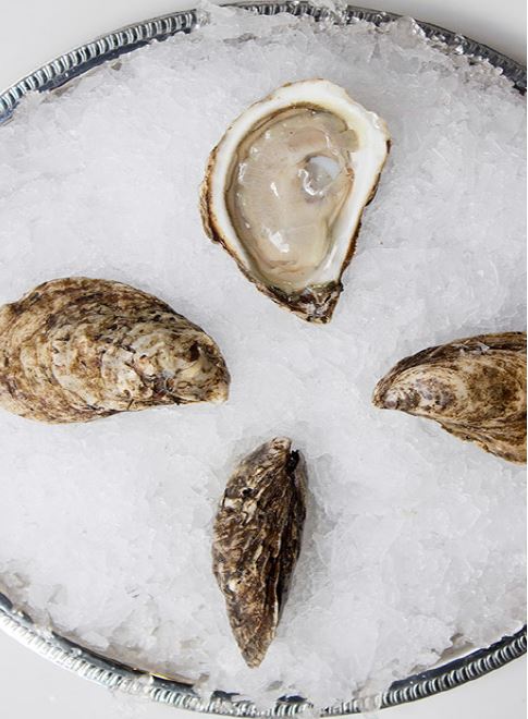 Oysters, Eel Lake, In Shell, Farmed, 100 Count bag