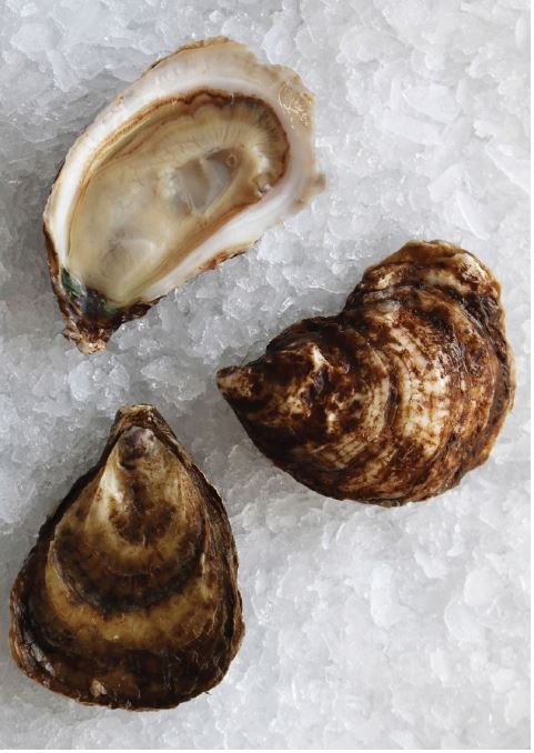 Oysters, Black Magic,In Shell, Farmed, 100 Count bag