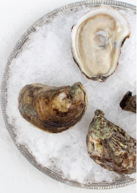Oysters, Copps Island, In Shell, Farmed, 100 Count bag
