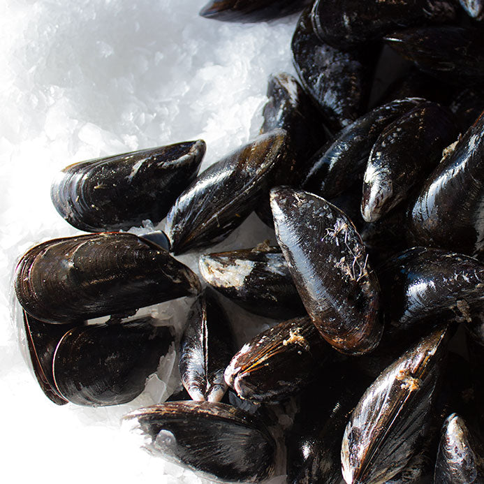 Mussels, PEI, Live In Shell, 10 lb bag