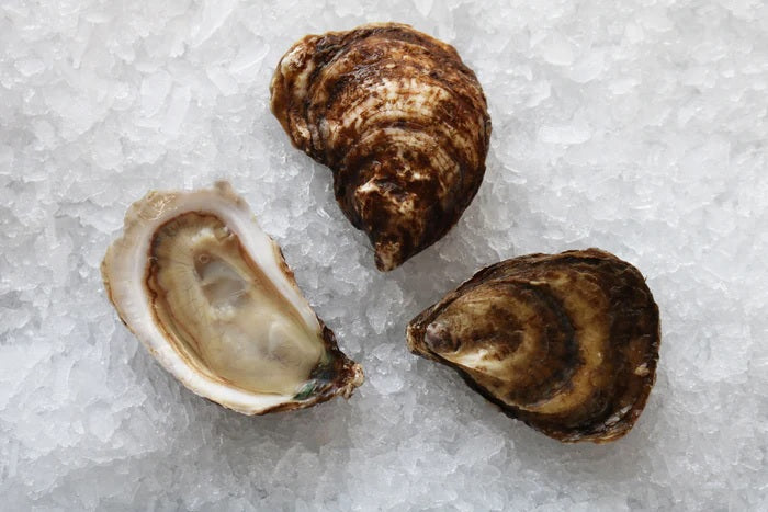 Oysters, Black Magic, Thunder Cove, Pei, Avg 3 Inches, 100 Count Bag, Avg 8 Lb Cs