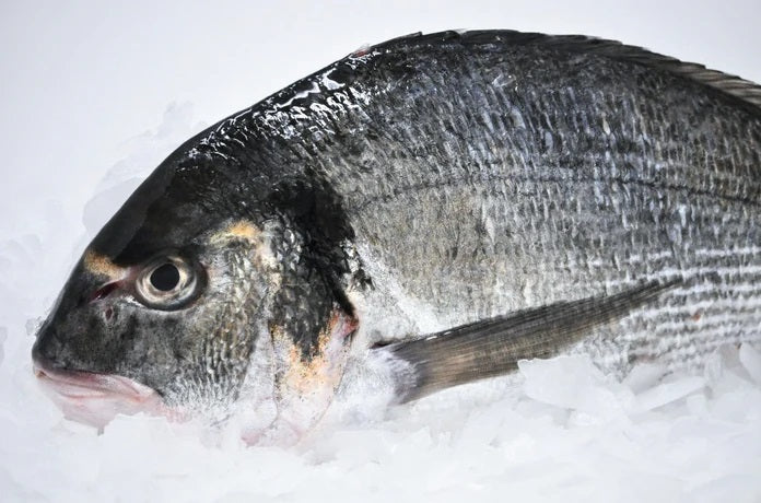 Dorade, Whole, Scaled, Farmed, 400-600 G, Avg 20 Lb Cs, Fresh