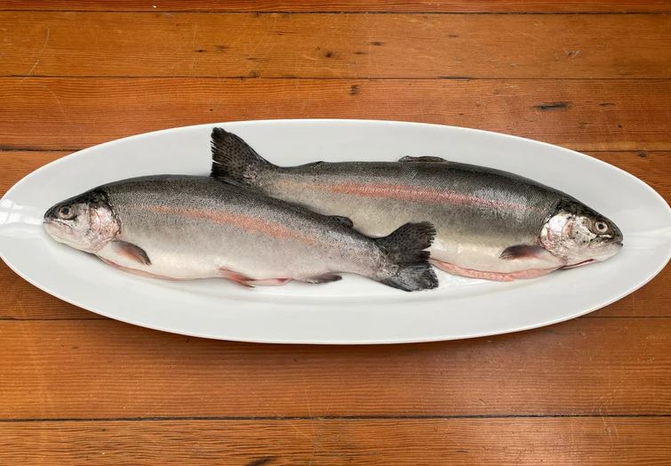 Trout, Lassen, California, Whole, Gutted, Large, Avg 3-8 Lbs Each, Avg 20 Lb Cs