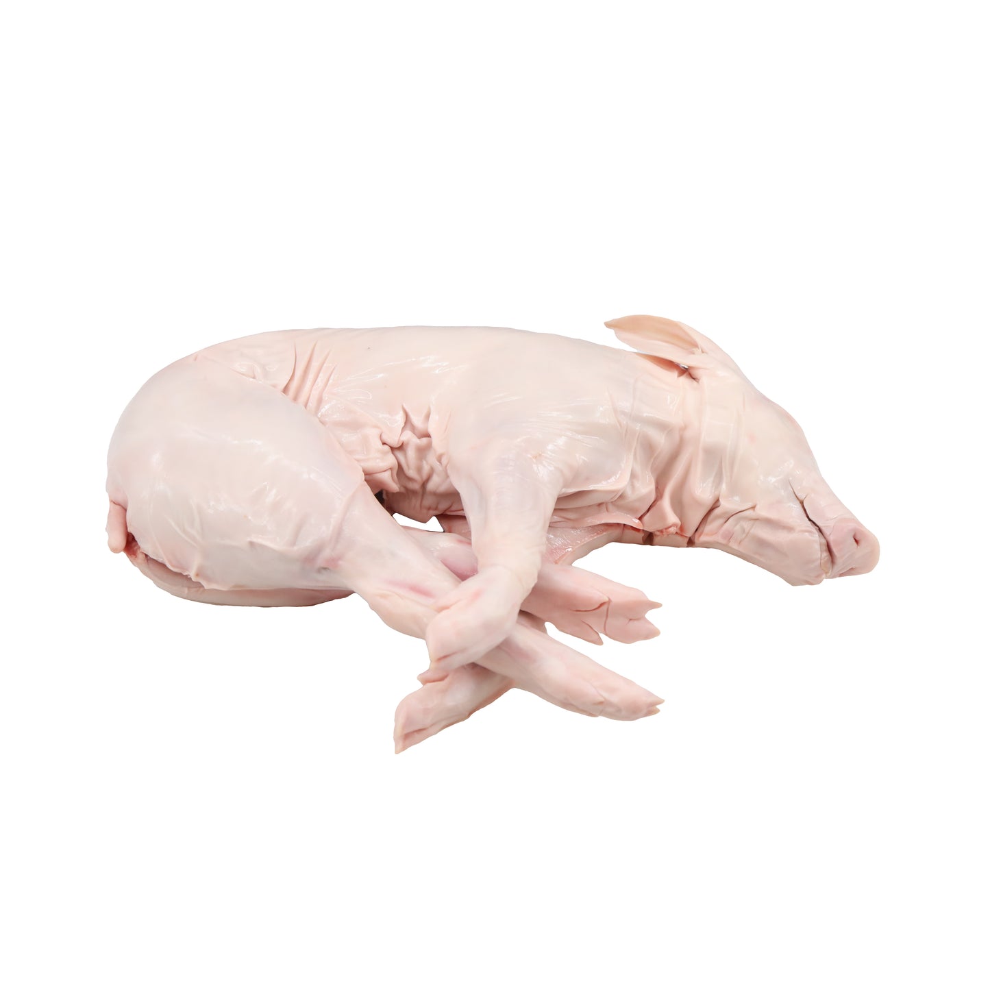 Pig, Whole, Suckling (Cochinillo), Avg 9 Lb Cs, Frozen, 24 Hour Pre Order