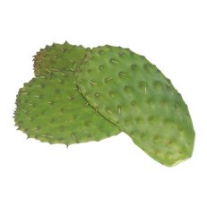 Cactus Leaves - Avg 10 Lb Case