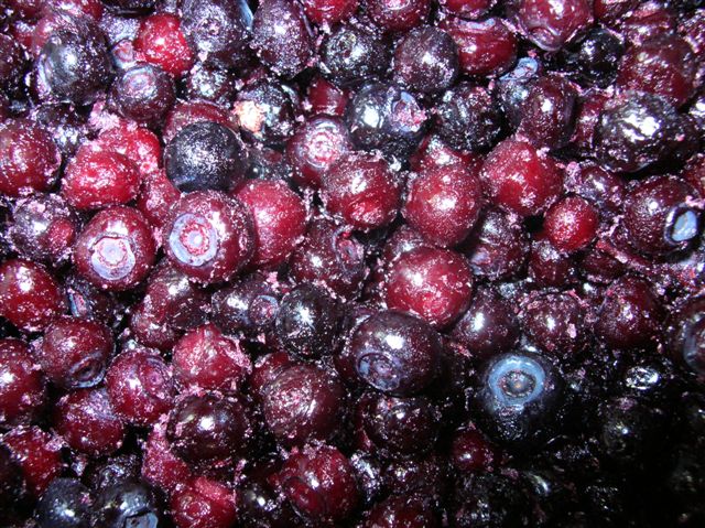 Berries, Huckleberries, Mountain, Wild, 5# Unit, Frozen