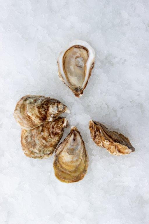 Oyster, Savage Harbor, In Shell, Wild, 100 Ct, Fresh