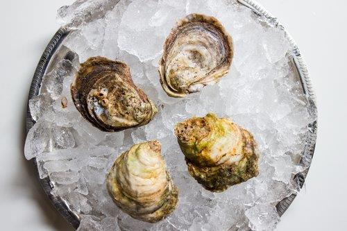 Oyster, Summerside, In Shell, Farmed, 100 Ct, Fresh