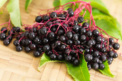 Berries, Elderberries, 5# Unit, Wild, Frozen