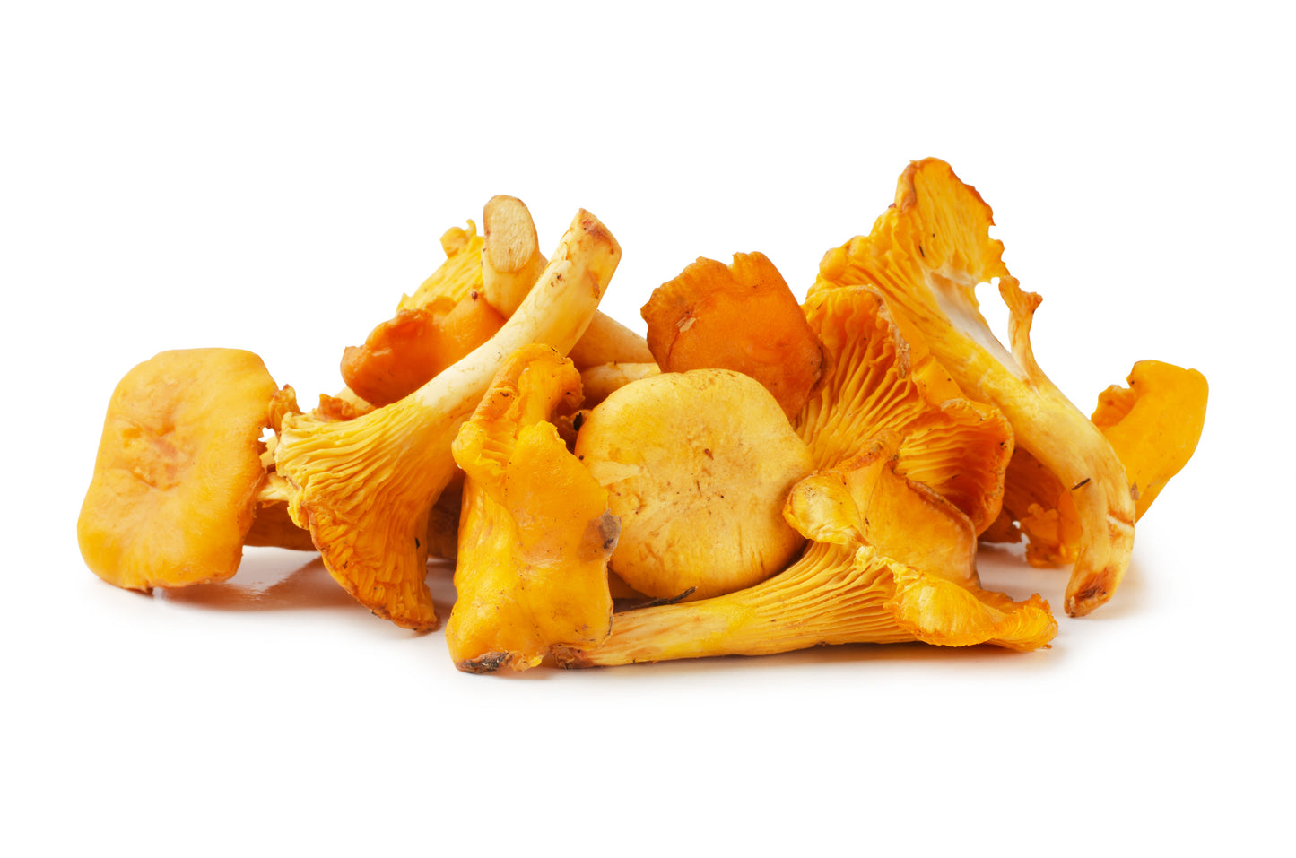 Mushroom, Wild, Chanterelle, Domestic, 5# Unit (Seasonal)