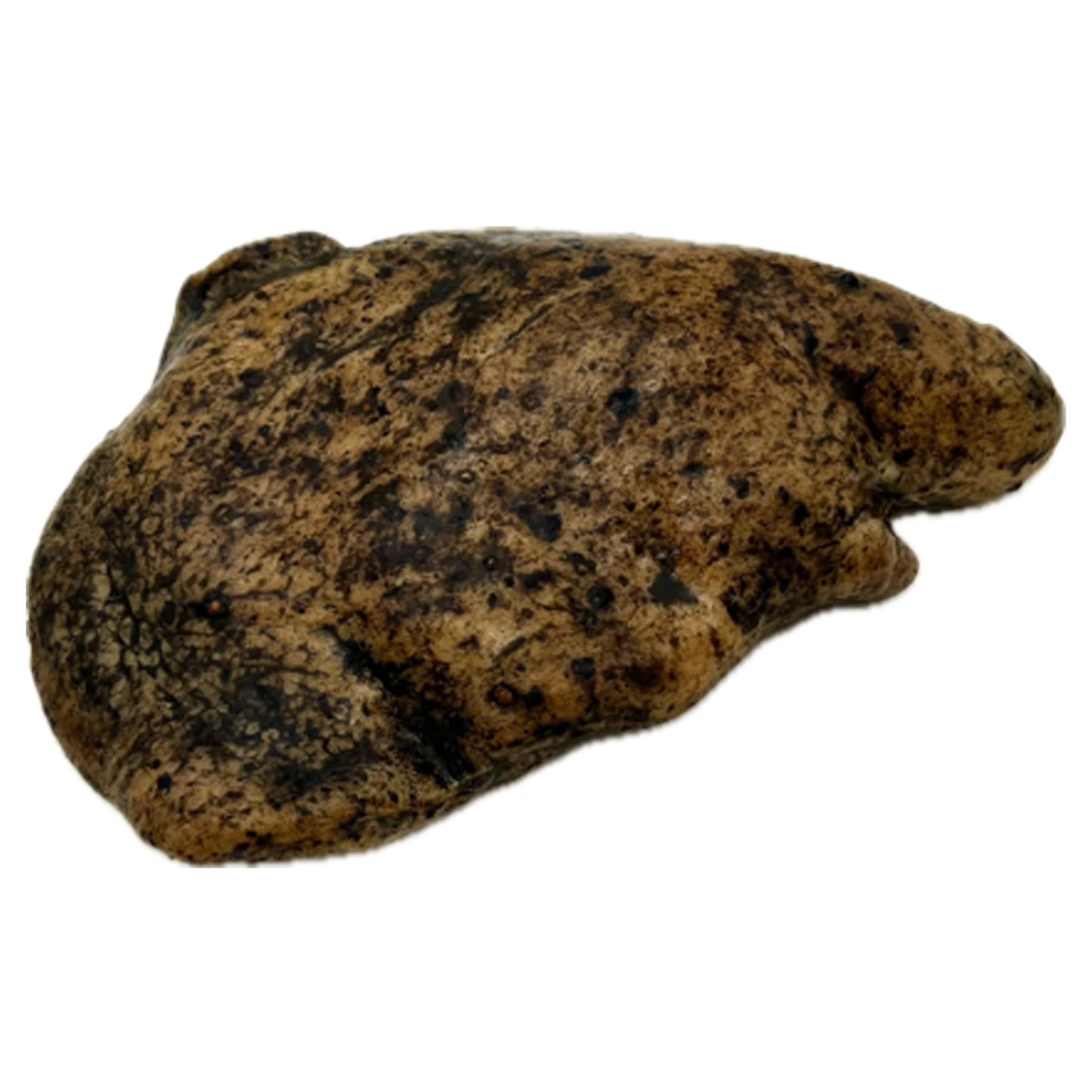 Pork, Jowl Guanciale, Cured, 8 x 1-2 LBA