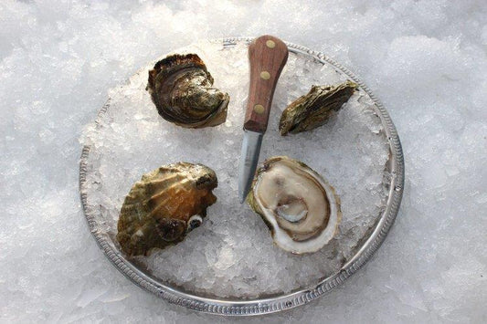 Oysters, Wellfleet, 100 Ct, 20# Cs, Ref