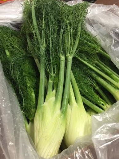 Baby Fennel 24 Count Per Case - Avg 8 Lb Case