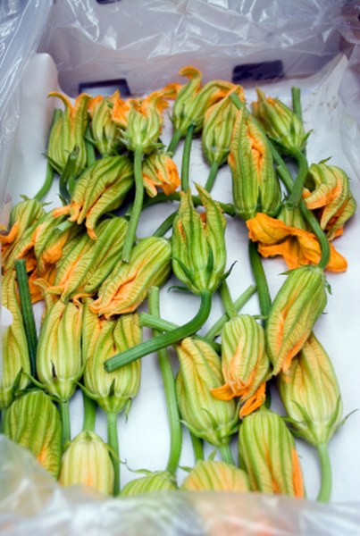 Blossom Zucchini - 100 Count - Avg 3 Lb Case