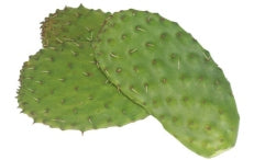 Cactus Leaves - Avg 10 Lb Case