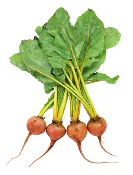 Large Gold Beets - Avg 10 Lb Case