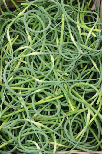 Garlic Whistles, Cultivated, 5# Unit (Seasonal)