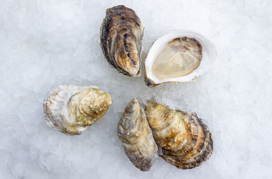 Oyster, Pemaquid, In Shell, Farmed, 100 Ct, Fresh, Ref