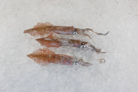 Squid, Day Boat, 150 Grams Each, 10 Lbs Average Case, Fresh