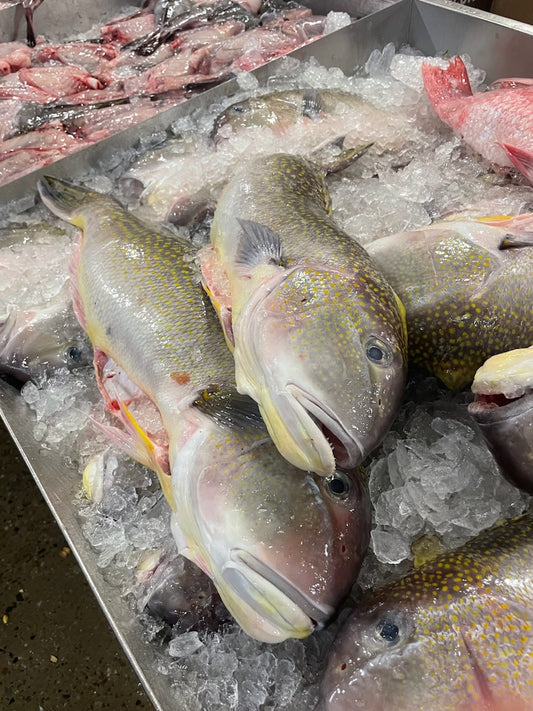 Tilefish, Whole, Gutted, Scaled, Day Boat, 8-10 Lbs Each, 9 Lbs Average Case, Fresh