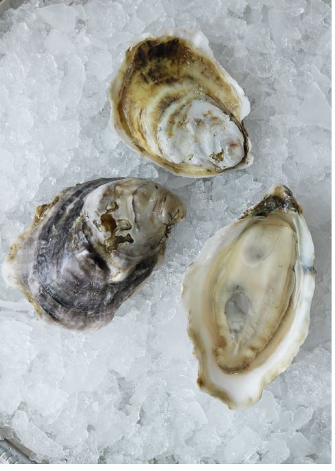 Oysters, Madhouse, In Shell, Farmed, 100 Count bag