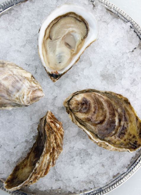 Oysters, Katama Signature, In Shell, Farmed, 100 Count bag