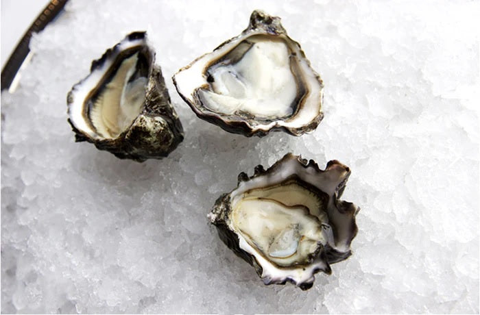 Oysters, Kumamoto, Pacific Northwest, Xs, 60 Ct Bag, Avg 5 Lb Cs