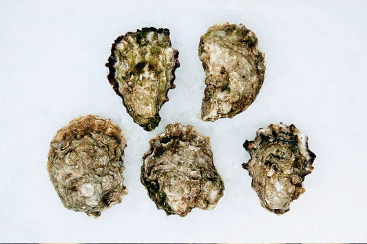 Oysters, Royal Miyagi, British Columbia, Xs, 120 Ct Bag, Avg 10 Lb Cs