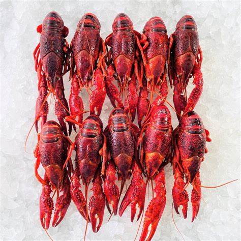 Crayfish Tails, 1 Lb Bag, Avg 20 Lb Cs, Frozen