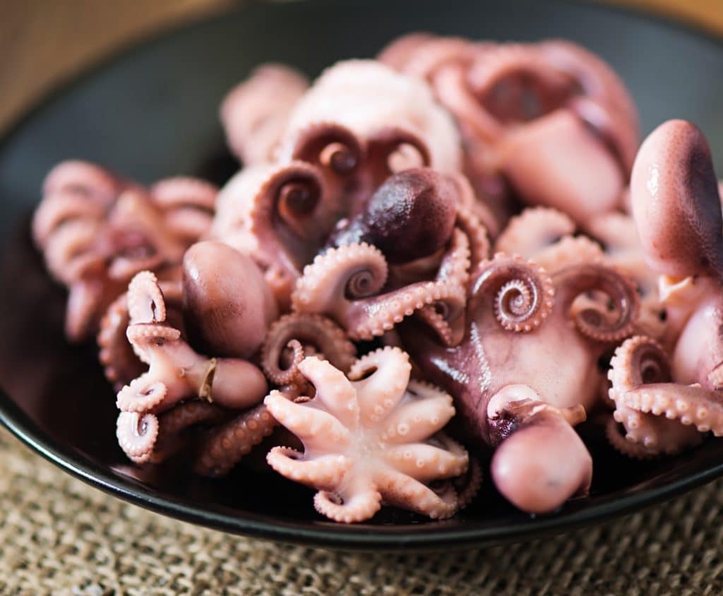 Octopus, Baby, Kilo Tray, Avg 1-2 Oz Each, Avg 20 Lb Cs, Frozen