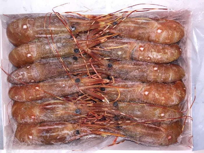 Prawns, King, U6, Head-On, Kilo Tray, Avg 2.2 Lbs Each, Avg 22 Lb Cs, Frozen