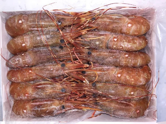 Prawns, King, U6, Head-On, Kilo Tray, Avg 2.2 Lbs Each, Avg 22 Lb Cs, Frozen