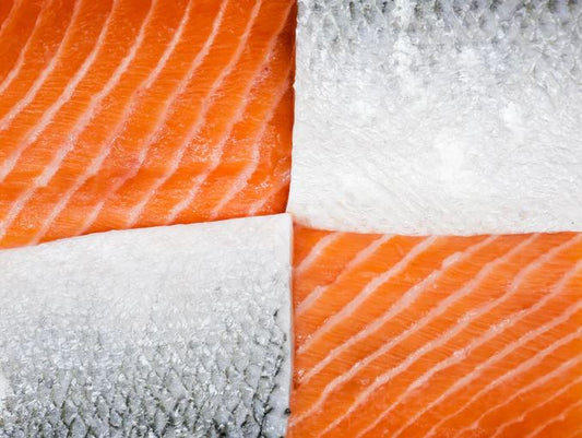 Salmon, Ora King, Pacific Coast, WGS, Avg 13-16 Lbs Each, Avg 20 Lb Cs