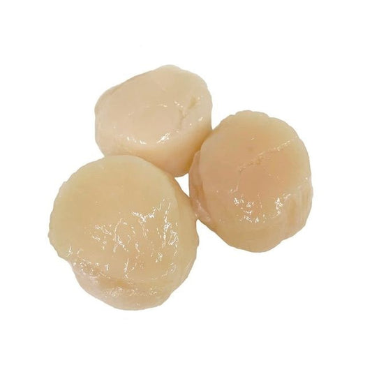 Scallops, Hokkaido, Treated, Avg 10-20 Pcs Per Pound, Avg 10 Lb Cs