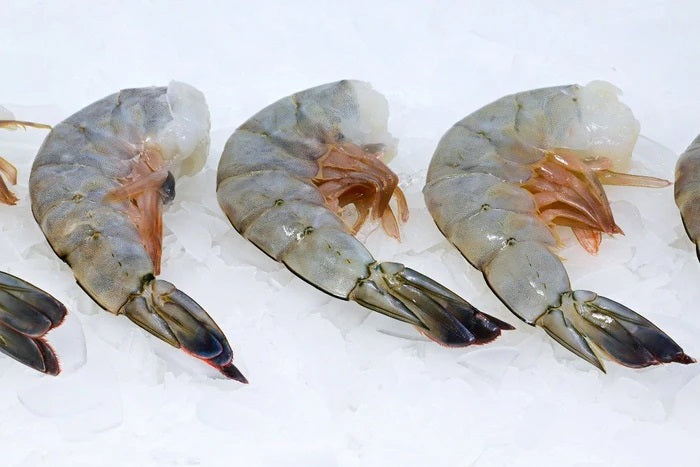 Shrimp, U10, Mexico, Hlso, Block, Avg 10 Lb Cs, Frozen