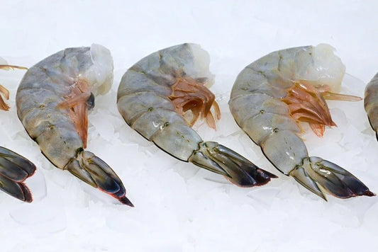 Shrimp, U10, Mexico, Hlso, Block, Avg 10 Lb Cs, Frozen