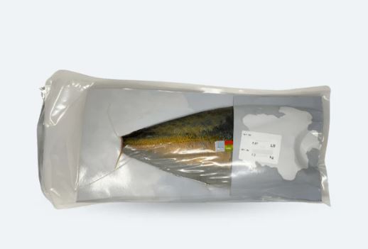 Kanpachi, Fillet, Skin On, Fresh, Avg 3 Lbs Ea | Avg 20 Lb Cs