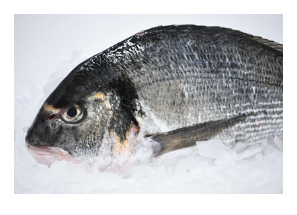 Cod, Black, Sablefish, Whole, HOG, X Large, 7 lbs +, 30 lbs case