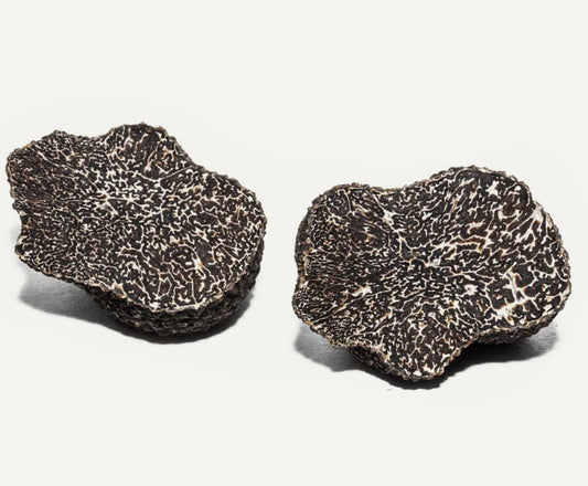 Truffle, Black, Winter Australian, Fresh, 2 oz