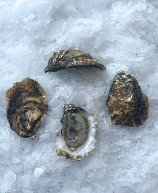 Oysters, Breakwater, In Shell, Farmed, 100 Ct, Fresh, Ref