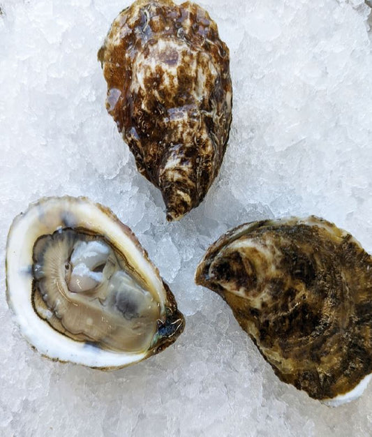 Oysters, East Beach Blond, In Shell, Farmed, 100 Ct, Fresh, Ref