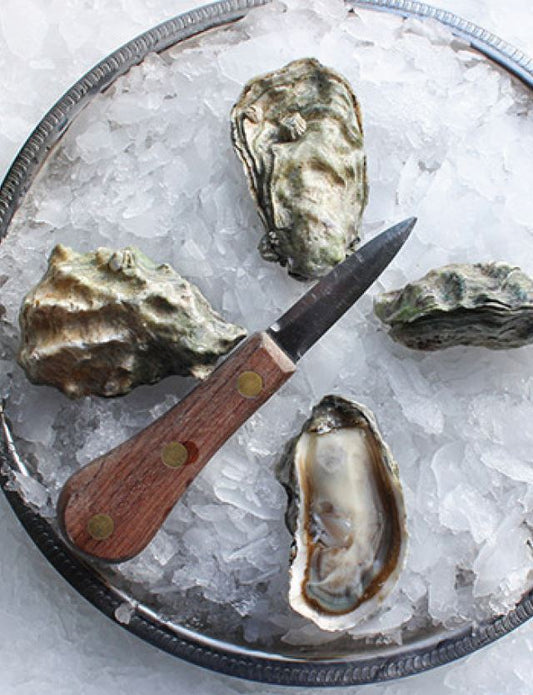 Oysters, Hood Canal, In Shell, Farmed, 100 Ct, Fresh, Ref