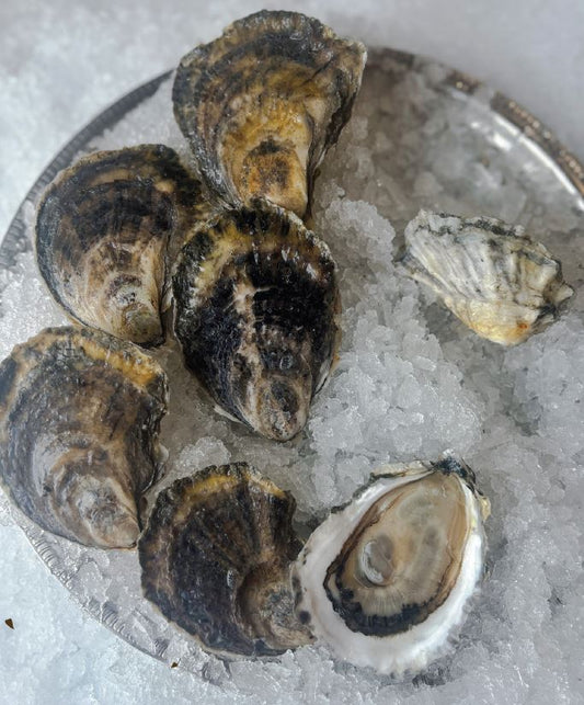 Oysters, Jimmy Fund Golds, In Shell, Farmed, 100 Ct, Fresh, Ref