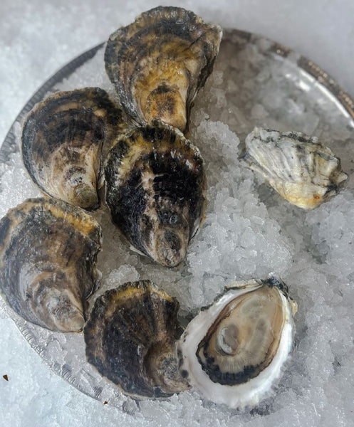 ほ*す様 Young Oysters スタイ ゴールド Oysters, Jimmy Fund Golds, In Shell, Farmed, 100 Ct, Fresh, Ref