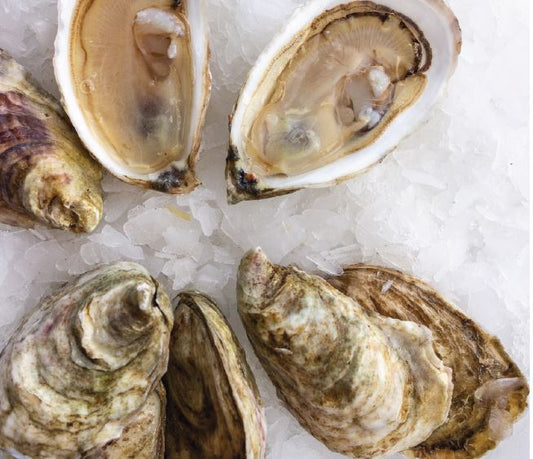 Oysters, Moonlight Bay, In Shell, Farmed, 100 Ct, Fresh, Ref
